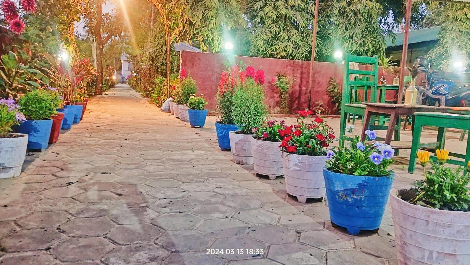 Hotel Butterfly Sauraha Exterior foto
