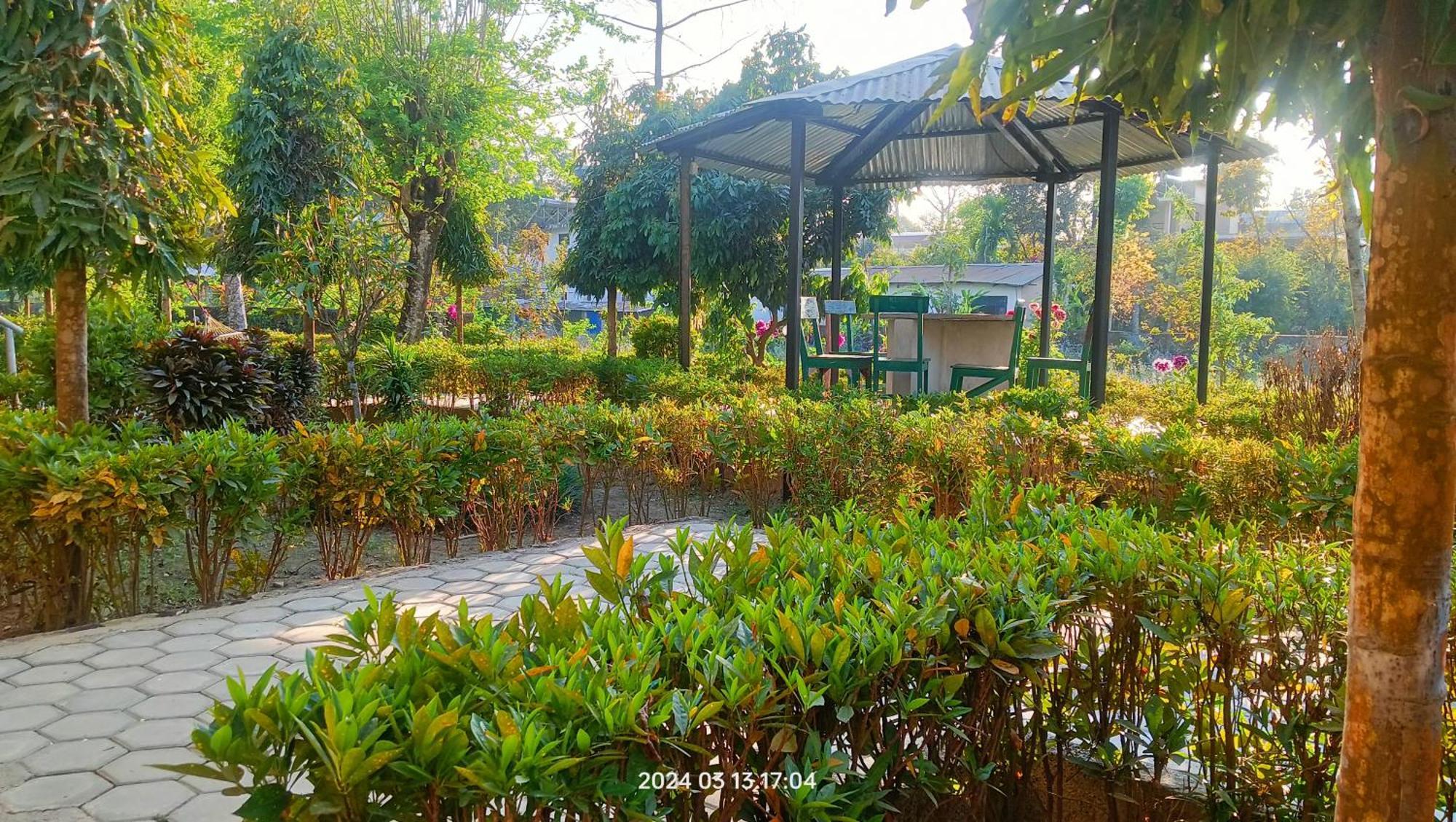 Hotel Butterfly Sauraha Exterior foto