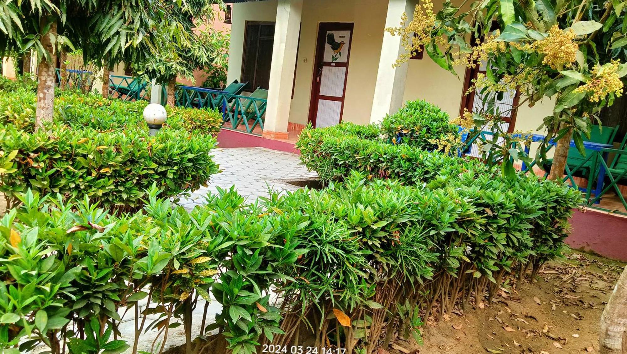 Hotel Butterfly Sauraha Exterior foto