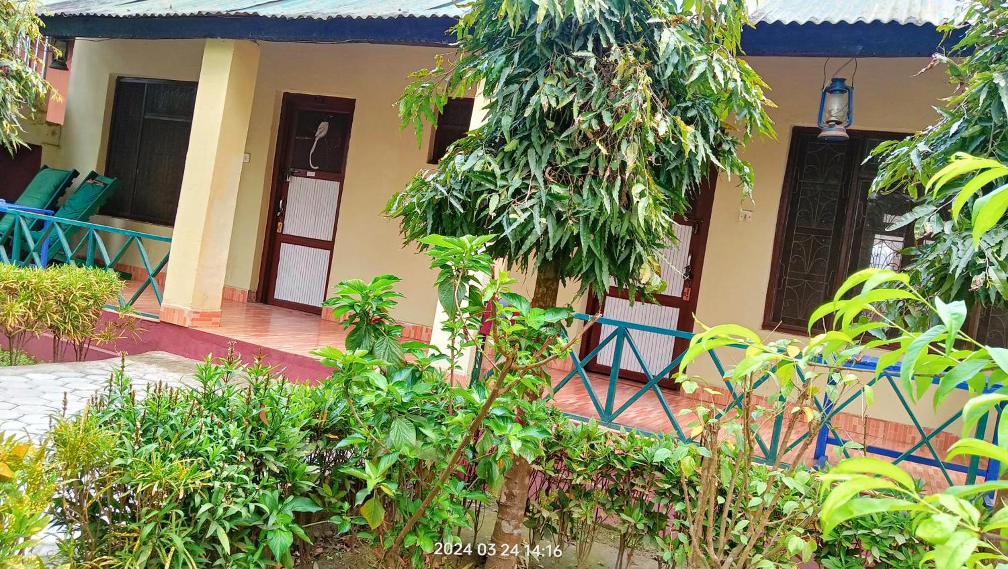 Hotel Butterfly Sauraha Exterior foto