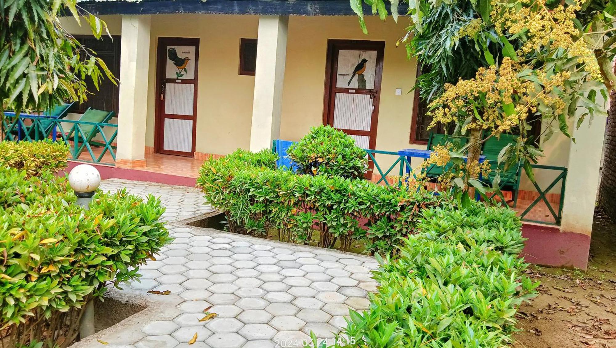 Hotel Butterfly Sauraha Exterior foto