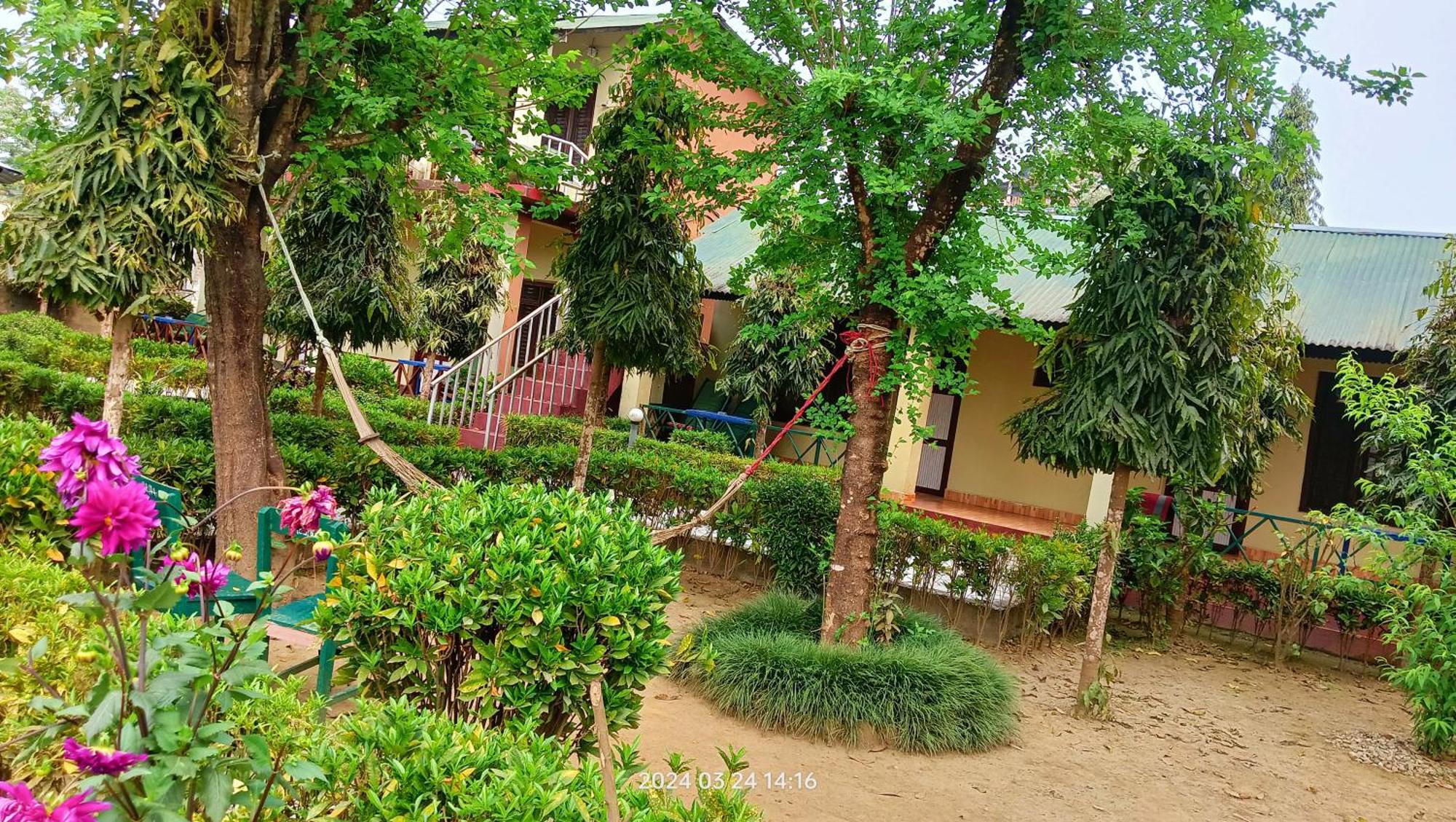 Hotel Butterfly Sauraha Exterior foto