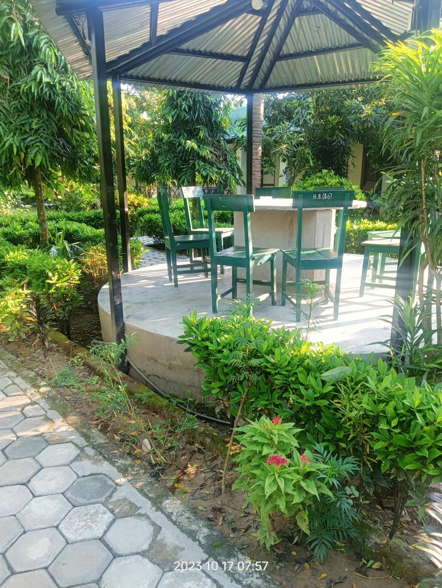 Hotel Butterfly Sauraha Exterior foto