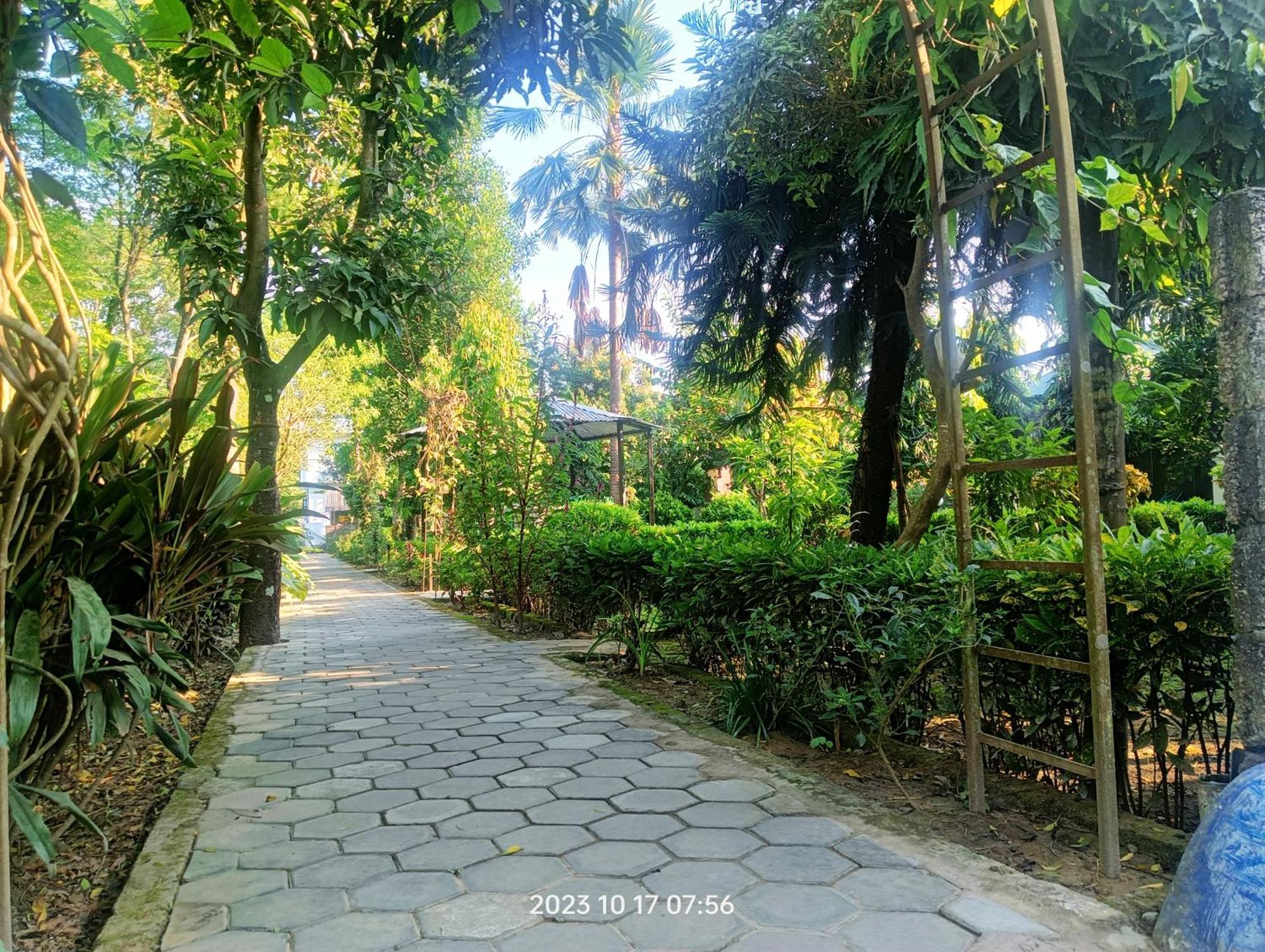 Hotel Butterfly Sauraha Exterior foto