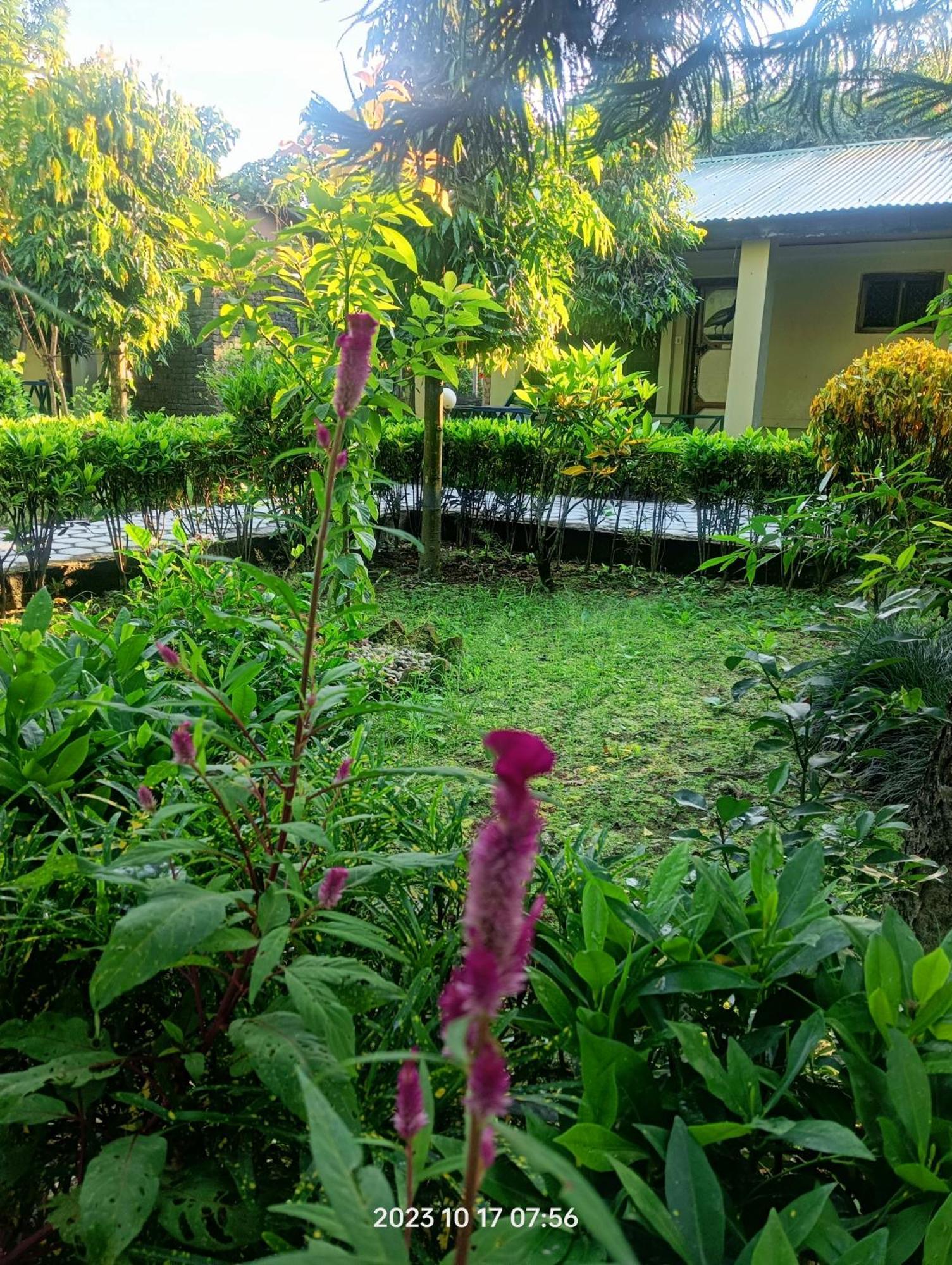 Hotel Butterfly Sauraha Exterior foto
