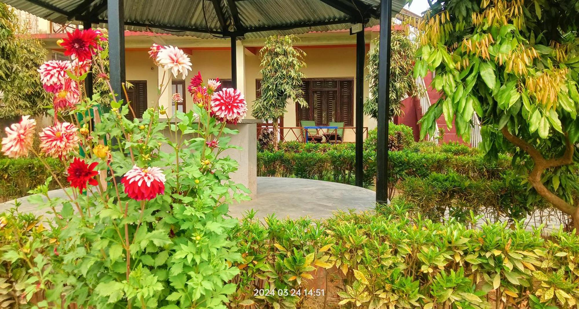 Hotel Butterfly Sauraha Exterior foto