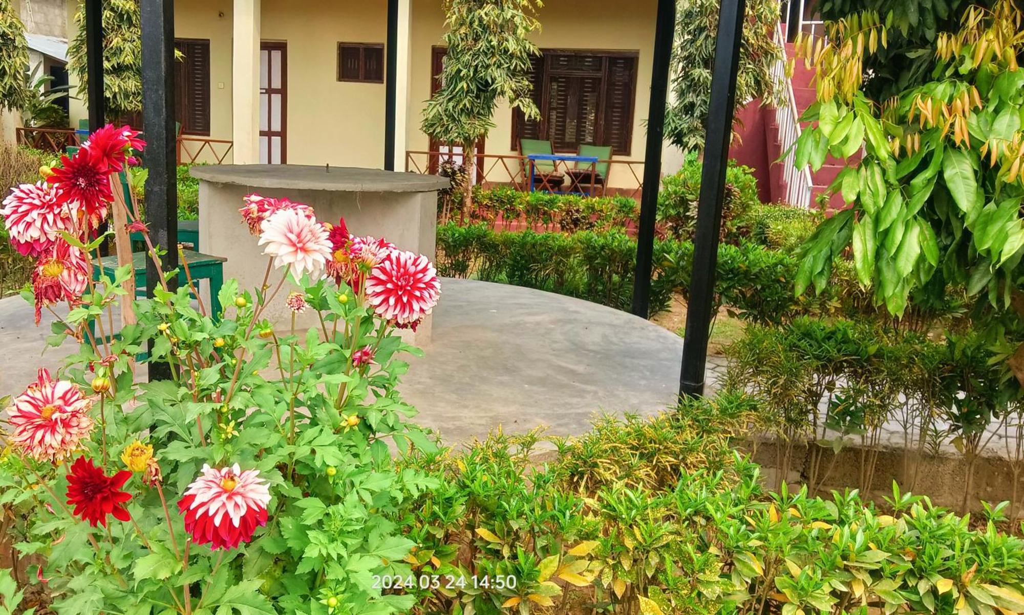 Hotel Butterfly Sauraha Exterior foto