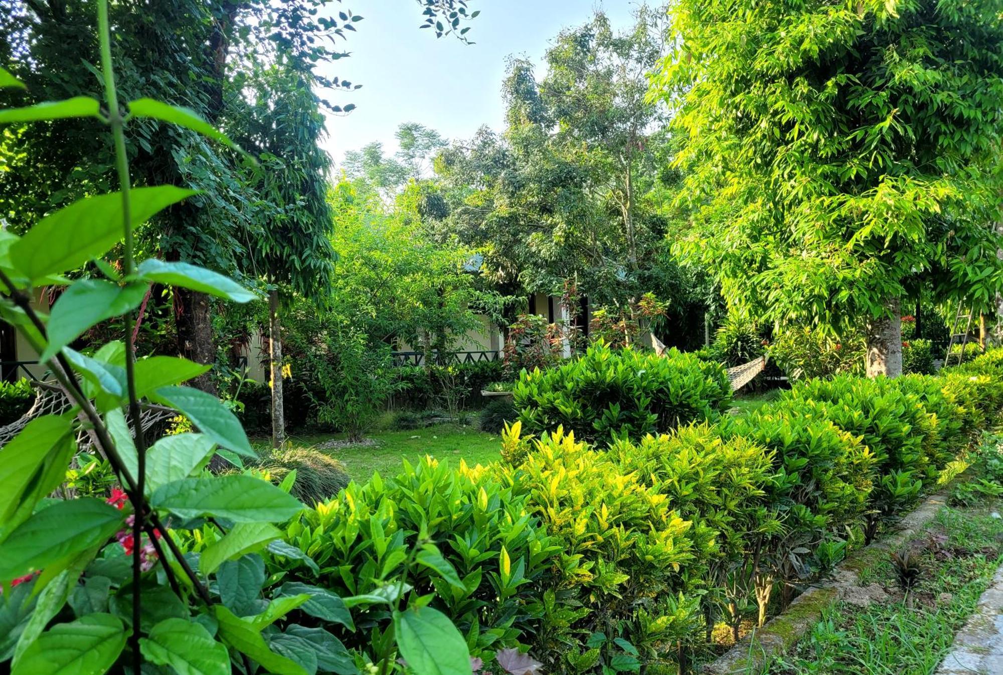 Hotel Butterfly Sauraha Exterior foto